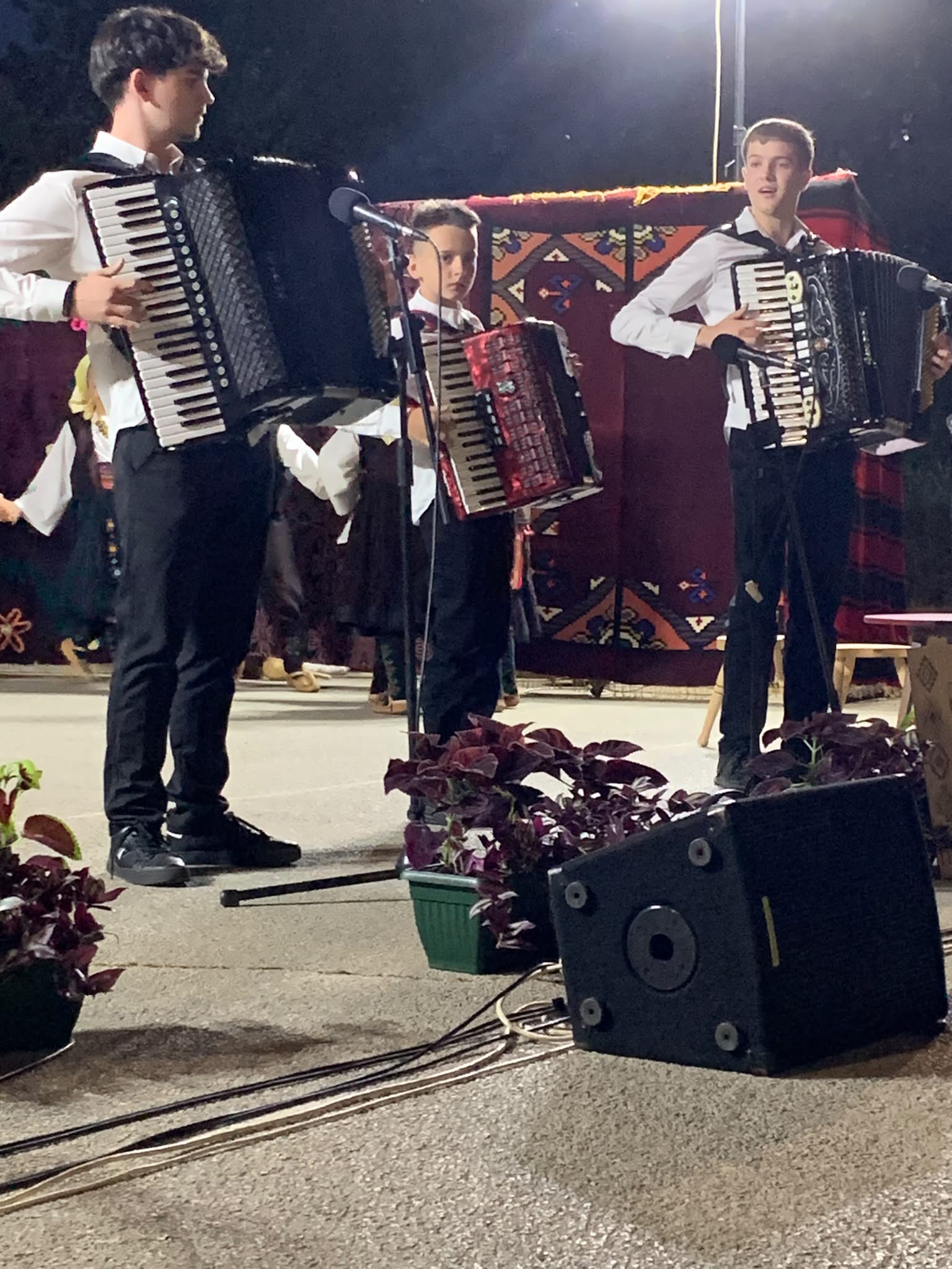 Pepeljevac 19