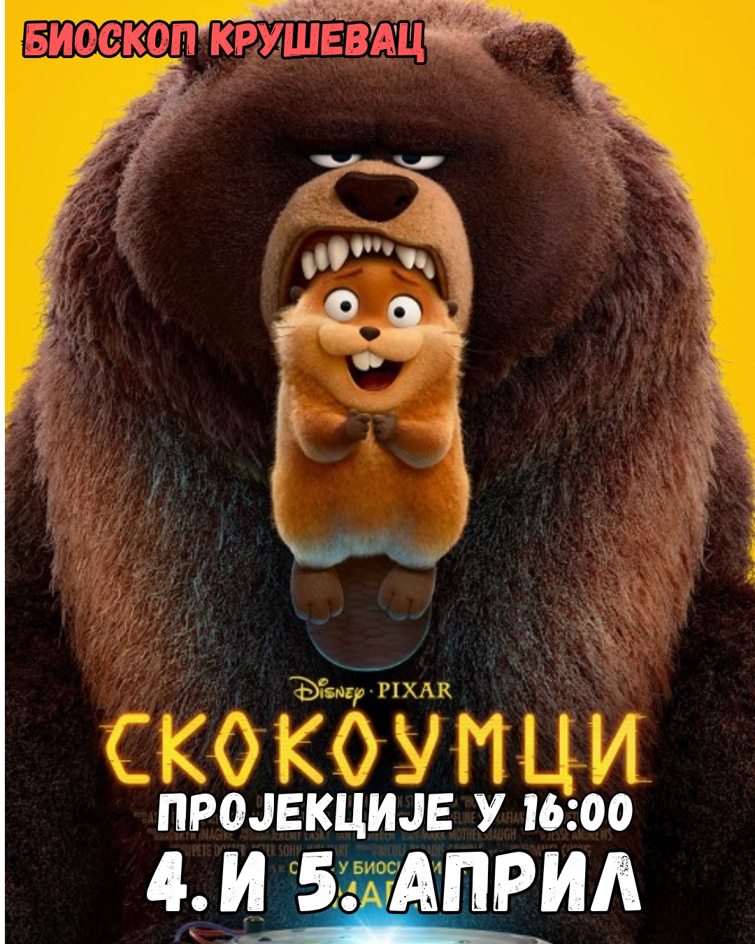 skoko